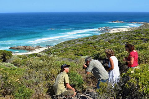 Margaret River Coastal And Wildlife Eco Trip From Busselton Or Dunsborough - Getaway Accommodation 2