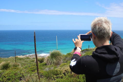 Margaret River Coastal And Wildlife Eco Trip From Busselton Or Dunsborough - Getaway Accommodation 3